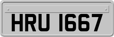 HRU1667