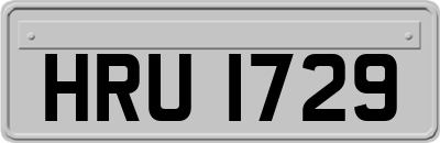 HRU1729