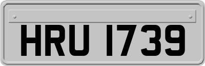 HRU1739