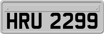 HRU2299