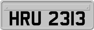 HRU2313