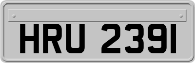 HRU2391