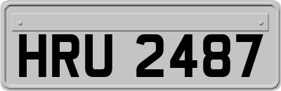 HRU2487
