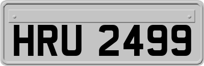 HRU2499