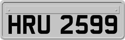 HRU2599
