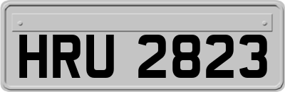 HRU2823