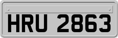 HRU2863
