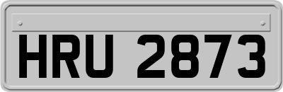HRU2873