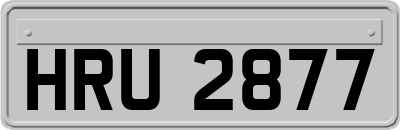 HRU2877