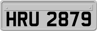 HRU2879