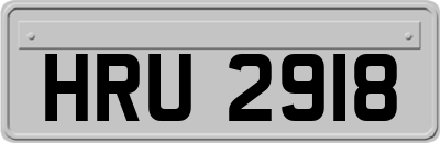 HRU2918