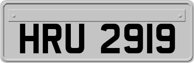 HRU2919