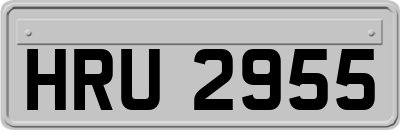 HRU2955