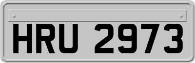 HRU2973