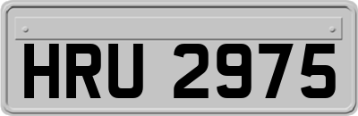 HRU2975