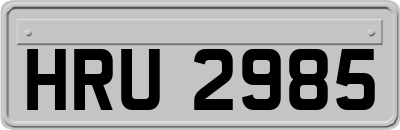 HRU2985