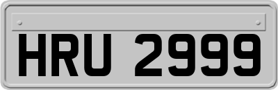 HRU2999