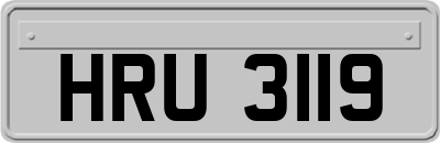 HRU3119