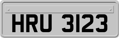 HRU3123