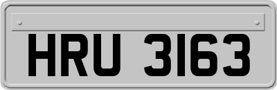 HRU3163
