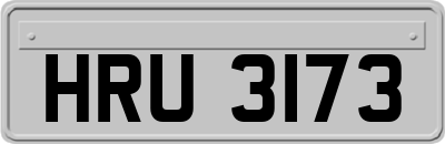 HRU3173