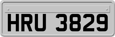 HRU3829