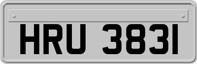 HRU3831