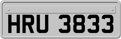 HRU3833