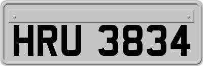 HRU3834