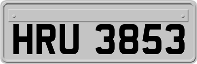 HRU3853