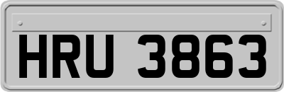 HRU3863