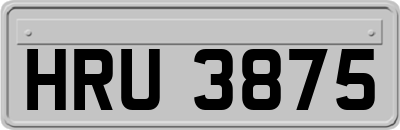 HRU3875