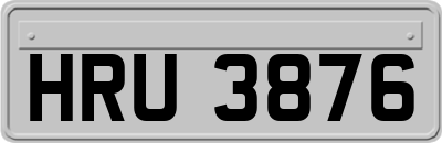 HRU3876
