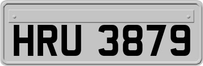 HRU3879