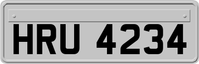 HRU4234
