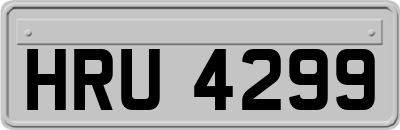 HRU4299