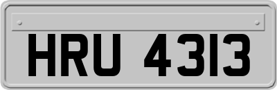 HRU4313