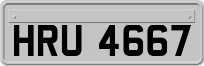 HRU4667