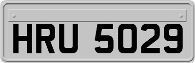 HRU5029