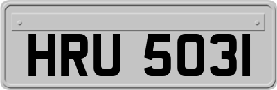 HRU5031