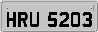 HRU5203