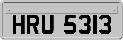 HRU5313
