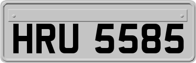 HRU5585