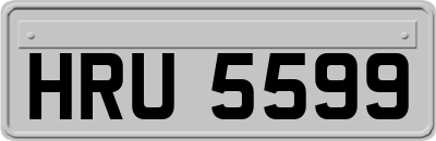 HRU5599