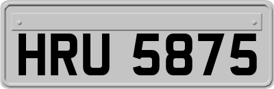HRU5875
