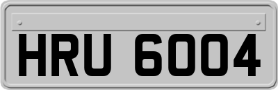 HRU6004
