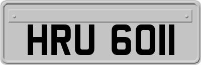 HRU6011