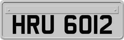 HRU6012