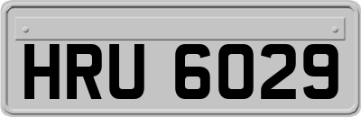 HRU6029