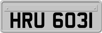 HRU6031